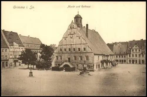 Ansichtskarte Grimma Markt und Rathaus 1913