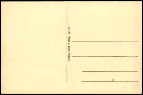 Ansichtskarte Grimma Markt und Rathaus 1913