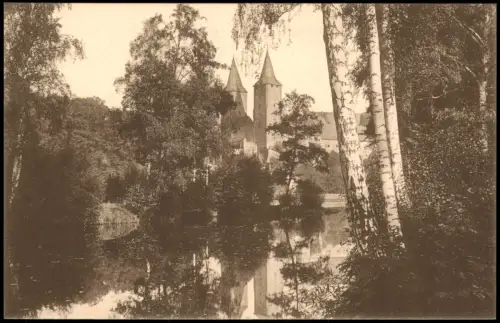 Ansichtskarte Rochlitz Blick vom Teich Birken 1913
