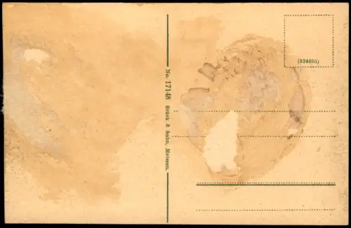 Ansichtskarte Rochlitz Blick von der Bastei. 1916