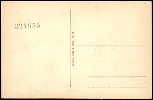 Ansichtskarte Rochlitz Blick von der Bastei. 1916