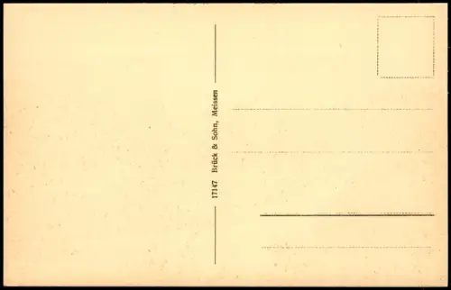 Rochlitz Blick vom Schellenberg auf Rochlitz und den Rochlitzer Berg 1913