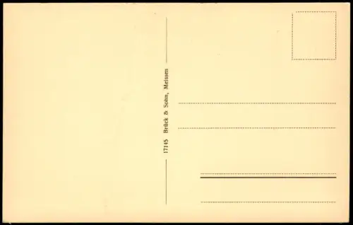 Ansichtskarte Rochlitz Stadtpartie - Brücke 1913
