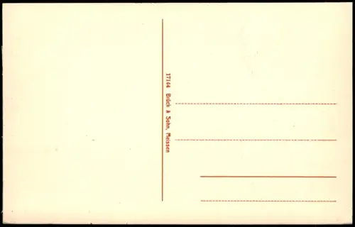 Ansichtskarte Rochlitz Fernblick auf die Stadt 1913