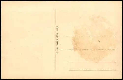 Ansichtskarte Rochlitz Fernblick auf die Stadt 1913
