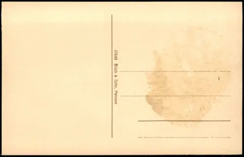 Ansichtskarte Rochlitz Uferpartie Schloß 1913