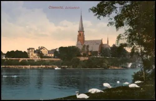 Ansichtskarte Chemnitz Schloßteich Schwäne 1913