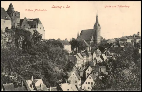 Ansichtskarte Leisnig Kirche und Schlossberg 1913