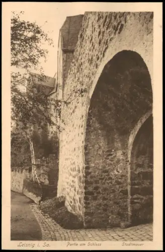 Ansichtskarte Leisnig Partie am Schloss Stadtmauer 1914