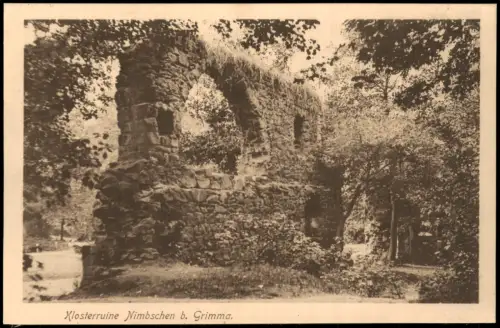 Ansichtskarte Grimma Klosterruine Nimbschen 1914