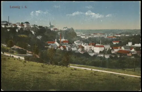 Ansichtskarte Leisnig Partie am Stadtrand 1914