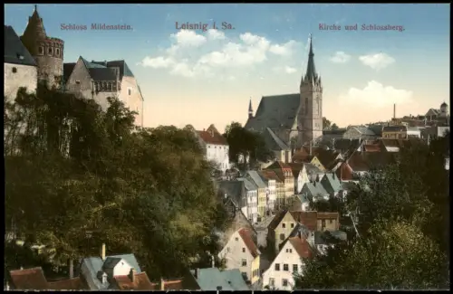Ansichtskarte Leisnig Kirche und Schlossberg. Schloss Mildenstein 1914