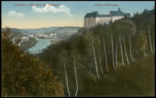 Ansichtskarte Leisnig Blick ins Muldental Schloss Mildenstein 1910
