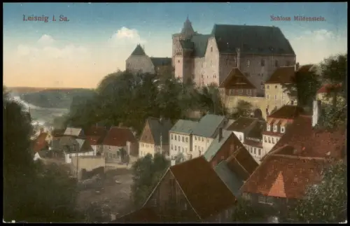 Ansichtskarte Leisnig Schloss Mildenstein. Stadt 1914
