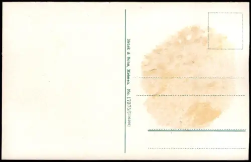 Ansichtskarte Rochlitz Bismarckstrasse und Realschule. 1914