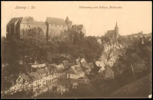 Ansichtskarte Leisnig Schlossberg und Schloss Mildenstein 1914