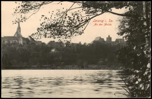 Ansichtskarte Leisnig An der Mulde 1914