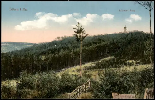 Ansichtskarte Löbau Friedrich-August-Turm.Löbauer Berg 1914