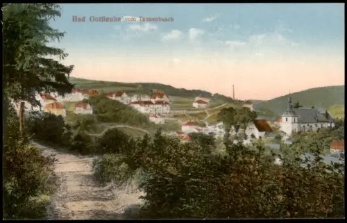 Ansichtskarte  Bad Gottleuba Berggießhübel Stadt - Tannenbusch 1932