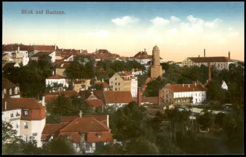Ansichtskarte Bautzen Budyšin Blick auf die Stadt 1914