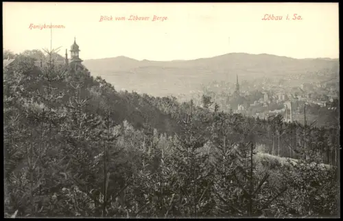 Ansichtskarte Löbau Blick vom Löbauer Berge Honigbrunnen Oberlausitz 1914