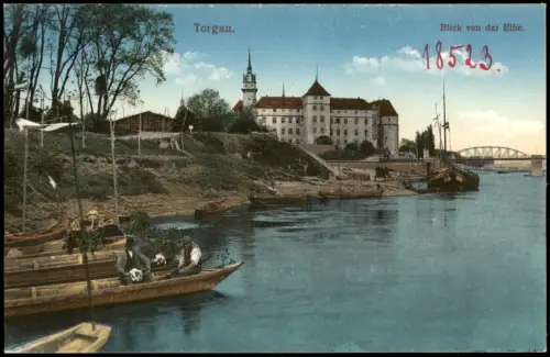 Ansichtskarte Torgau Blick von der Elbe 1913