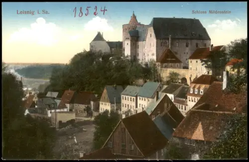 Ansichtskarte Leisnig Schloss Mildenstein. Stadt 1914
