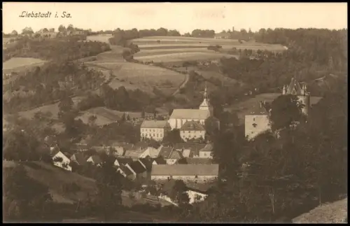 Ansichtskarte Liebstadt Stadtblick 1914