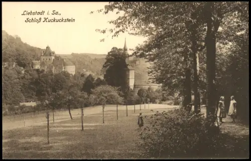Ansichtskarte Liebstadt Waldweg - Blick zum Schloß Kuckuckstein 1913