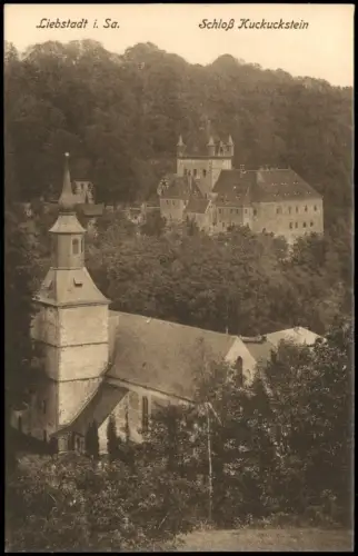 Ansichtskarte Liebstadt Schloß Kuckuckstein 1914