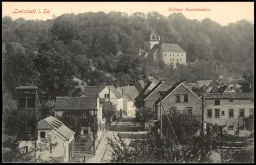 Ansichtskarte Liebstadt Straßenpartie 1917