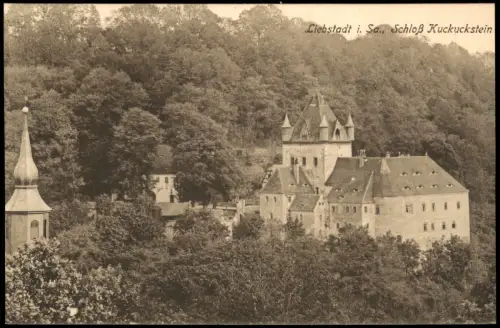 Ansichtskarte Liebstadt Schloß Kuckuckstein Totale 1914