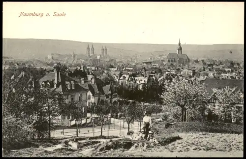 Naumburg (Saale) Stadtteilansicht Panorama Höhenblick auf die Innenstadt 1910