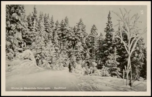 Bärenfels (Erzgebirge)-Altenberg (Erzgebirge) Winter Rauhfrost Skifahrer 1956