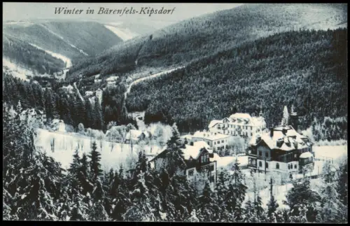 Bärenfels (Erzgebirge)-Altenberg   Blick auf die Stadt im Winter 1914