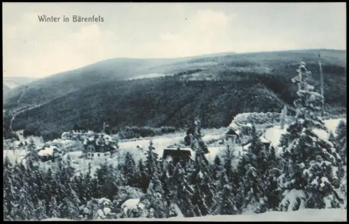 Bärenfels (Erzgebirge)-Altenberg (Erzgebirge) Winter Stadtpartie 1917