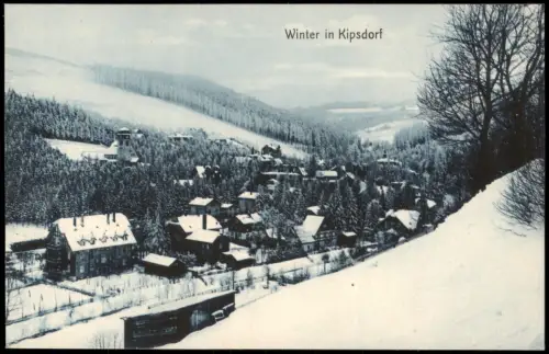 Ansichtskarte Kipsdorf-Altenberg (Erzgebirge) Winterpartie 1913
