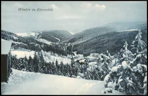 Bärenfels (Erzgebirge)-Altenberg (Erzgebirge) Winter Idyll Stadt 1914