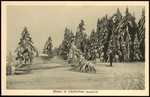 Schellerhau-Altenberg (Erzgebirge) Skifahrer am Waldesrand Winter 1914