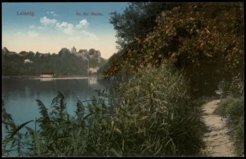 Ansichtskarte Leisnig An der Mulde. 1914