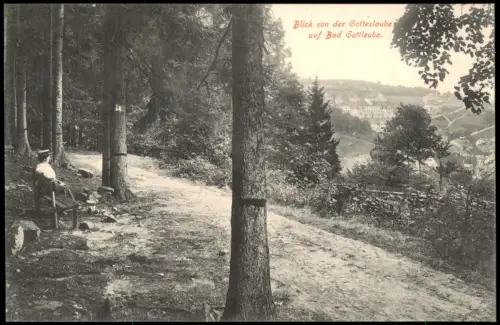 Ansichtskarte Bad Gottleuba-Berggießhübel Blick von der Gotteslaube 1914