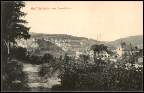 Ansichtskarte Bad Gottleuba-Berggießhübel Stadt vom Tannenbusch 1914