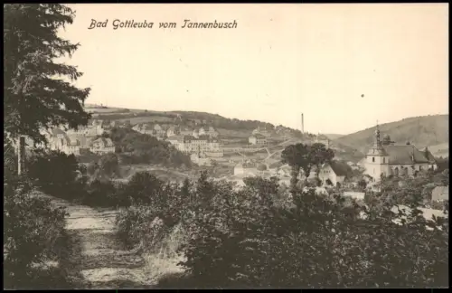 Ansichtskarte Bad Gottleuba-Berggießhübel Stadt vom Tannenbusch 1914