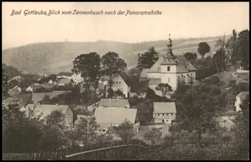 Bad Gottleuba-Berggießhübel Blick vom Tannenbusch nach der Panoramahöhe 1914