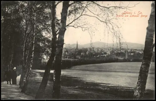Ansichtskarte Löbau Panorama-Ansicht Partie am Löbauer Berge 1919