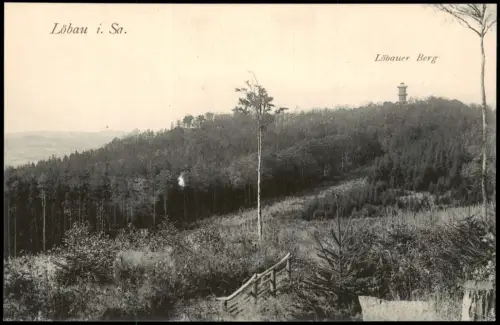 Ansichtskarte Löbau Blick auf den Löbauer Berg 1914