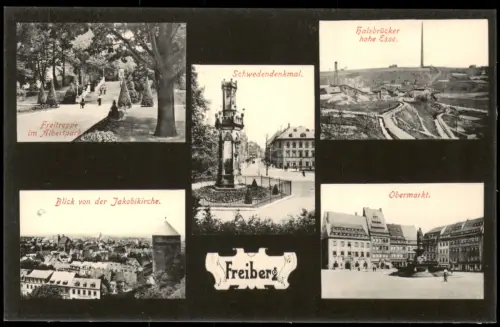 Freiberg (Sachsen) 5 Bild Schwedendenkmal. Freitreppeim Albertpark 1914
