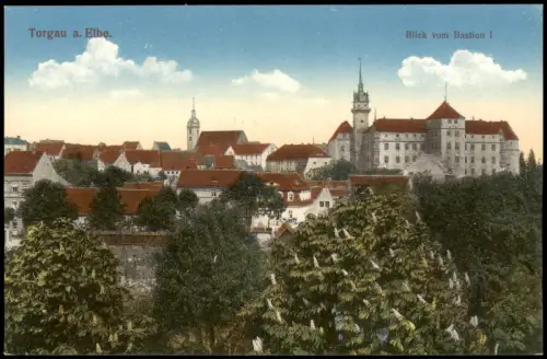 Ansichtskarte Torgau Stadtblick - Blick vom Bastion I 1914