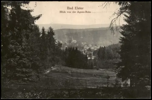 Ansichtskarte Bad Elster Blick von der Agnesruh 1917