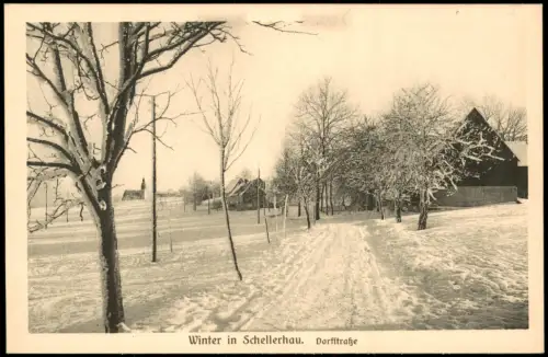 Schellerhau-Altenberg (Erzgebirge) Straßenpartie im Winter 1913